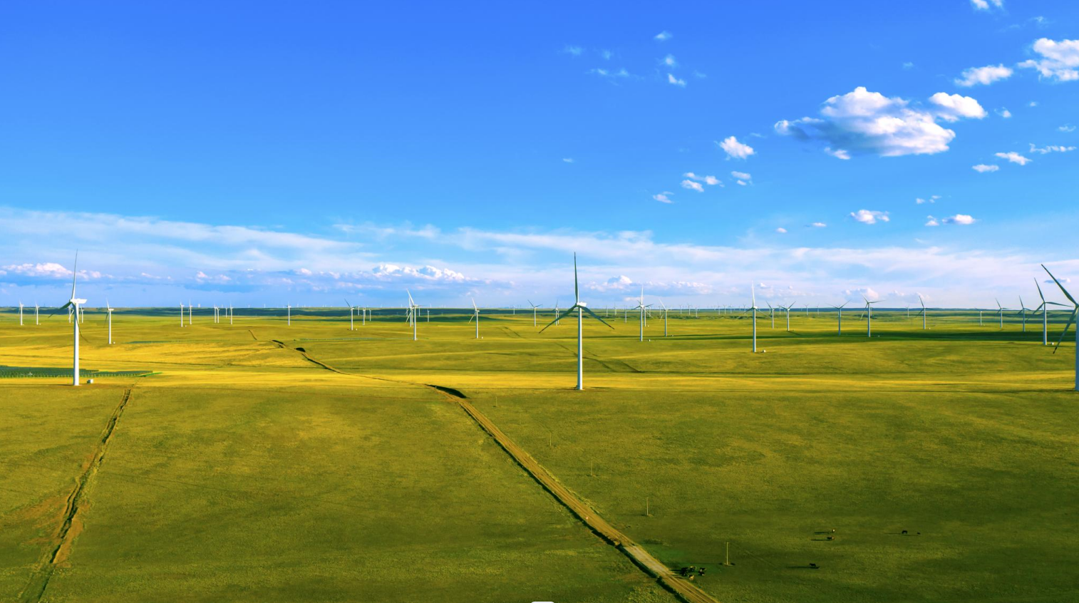 【CWP看点速“达”】新发展、新场景、新模式、新担当，看龙八国际如何为零碳未来提质加速