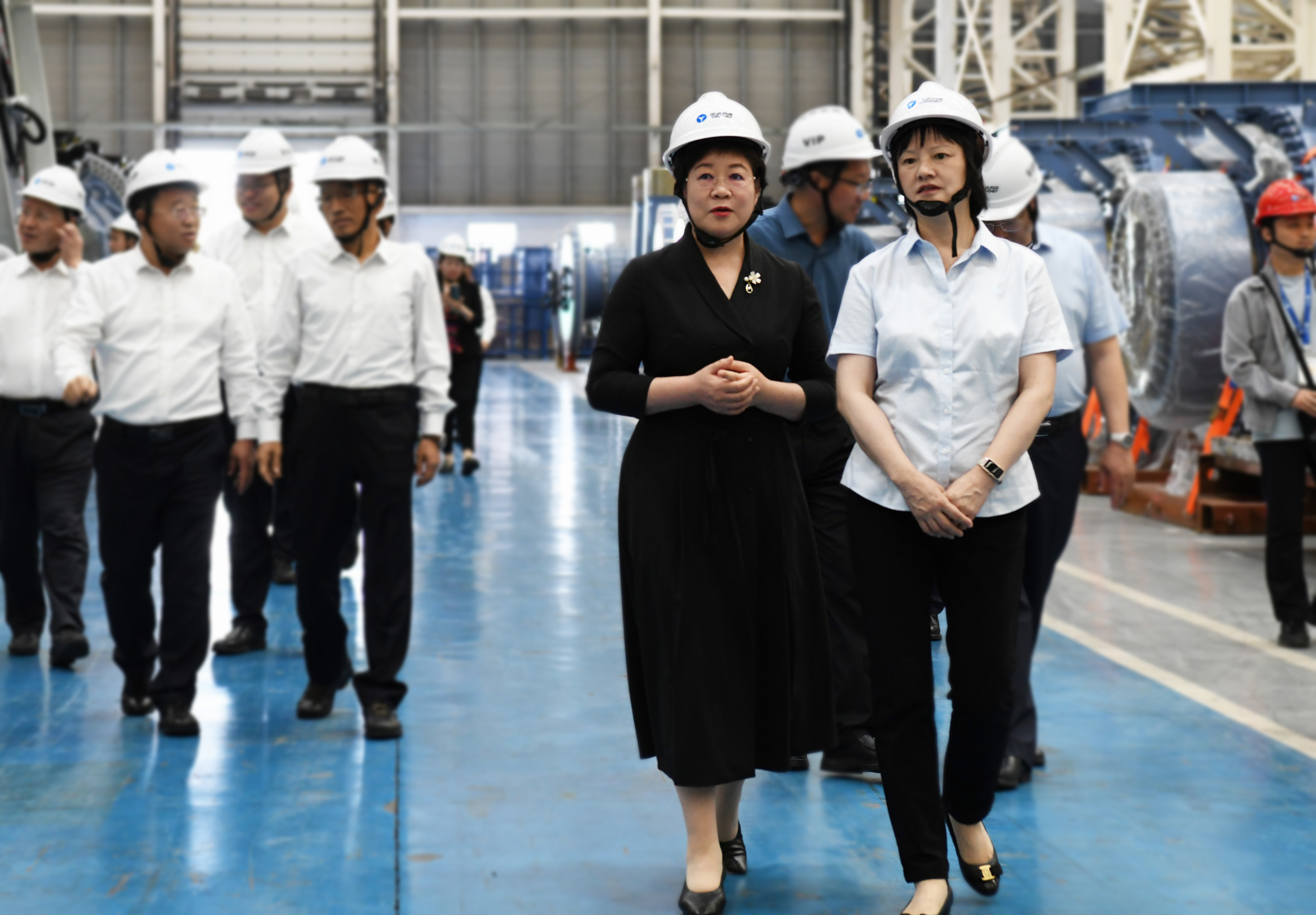 阿拉善盟盟委书记黄雅丽前往龙八国际股份考察调研